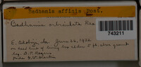 Image Associated With the Occurence